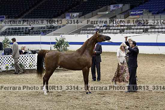 Proof 10r13_3314