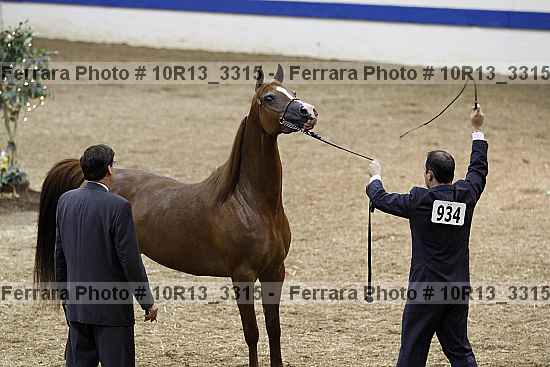 Proof 10r13_3315