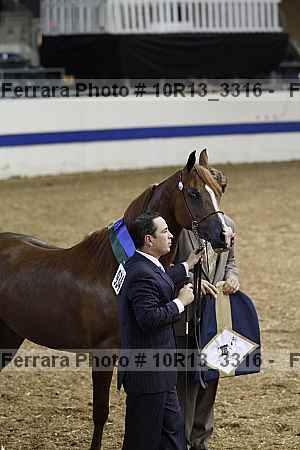Proof 10r13_3316