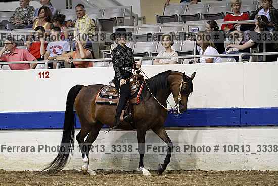 Proof 10r13_3338
