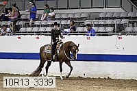 10r13_3339 proof