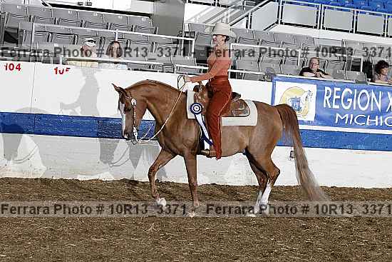 Proof 10r13_3371