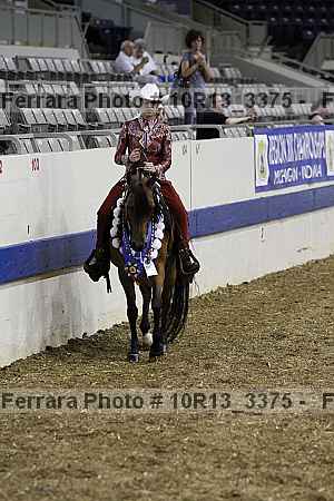 Proof 10r13_3375