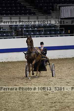 Proof 10r13_3381