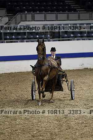 Proof 10r13_3383