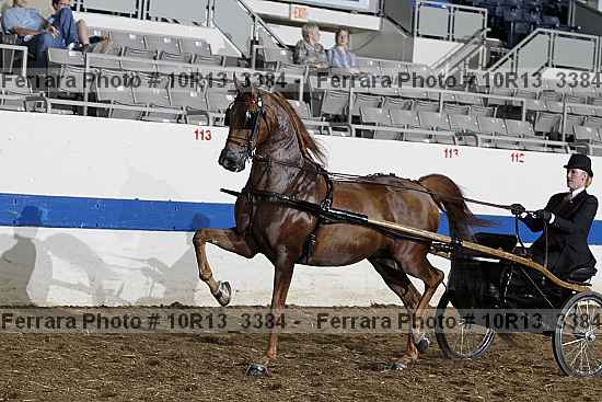 Proof 10r13_3384