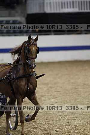 Proof 10r13_3385