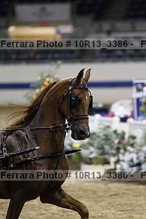 Proof 10r13_3386