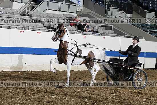 Proof 10r13_3387