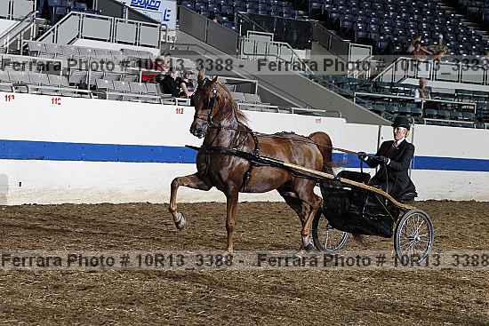 Proof 10r13_3388