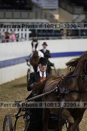 Proof 10r13_3390