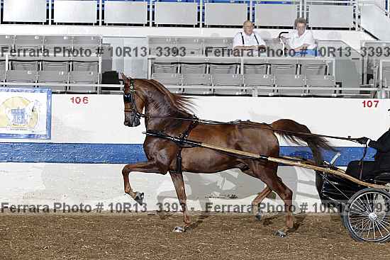 Proof 10r13_3393