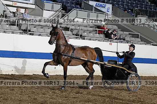 Proof 10r13_3394