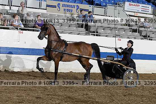 Proof 10r13_3395