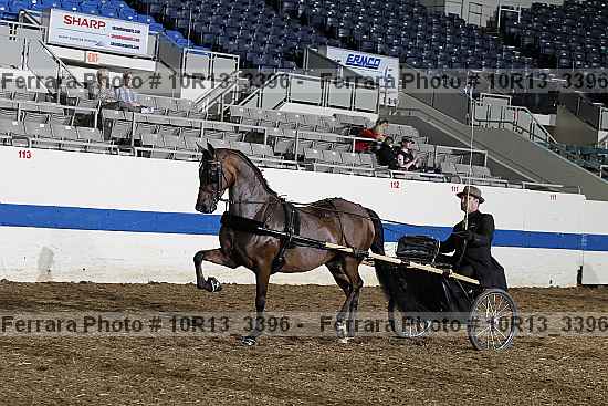 Proof 10r13_3396