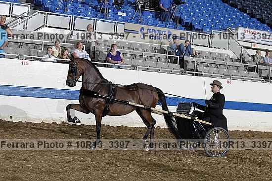 Proof 10r13_3397