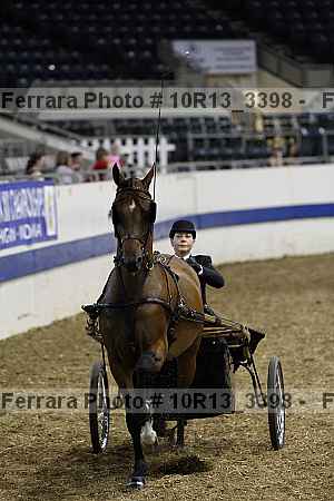 Proof 10r13_3398