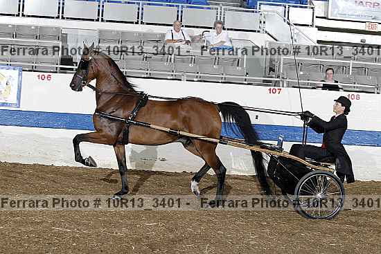 Proof 10r13_3401