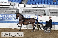 10r13_3402 proof