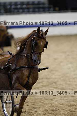 Proof 10r13_3405