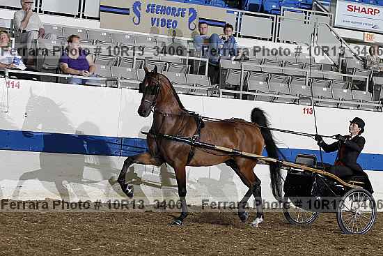 Proof 10r13_3406