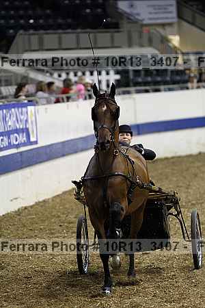 Proof 10r13_3407