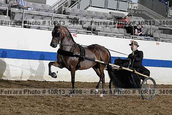 Proof 10r13_3408