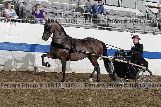 Proof 10r13_3409