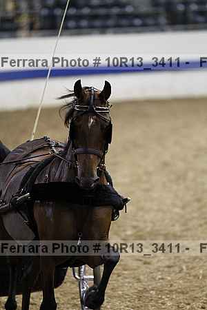 Proof 10r13_3411