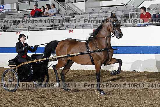 Proof 10r13_3416
