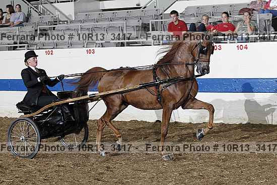 Proof 10r13_3417