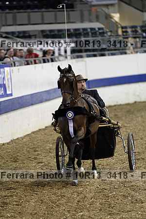 Proof 10r13_3418