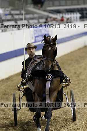 Proof 10r13_3419