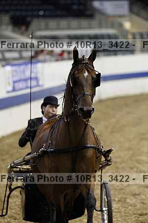 Proof 10r13_3422