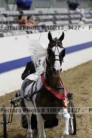 Proof 10r13_3427
