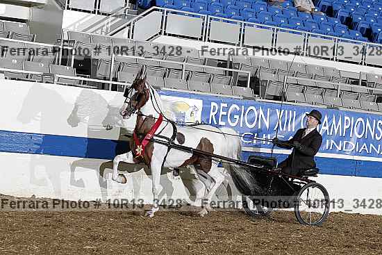 Proof 10r13_3428