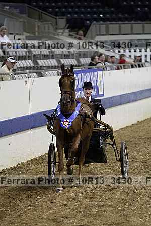 Proof 10r13_3430