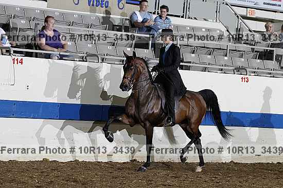 Proof 10r13_3439