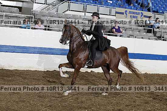Proof 10r13_3441