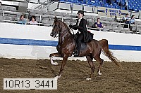 10r13_3441 proof