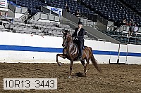 10r13_3443 proof