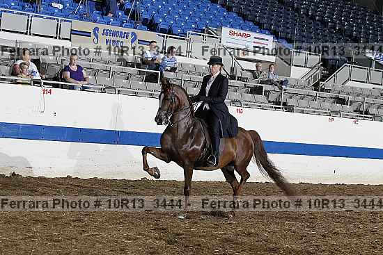 Proof 10r13_3444