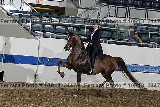 Proof 10r13_3447