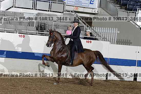 Proof 10r13_3448
