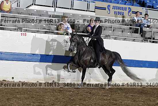 Proof 10r13_3460