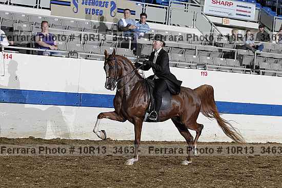 Proof 10r13_3463