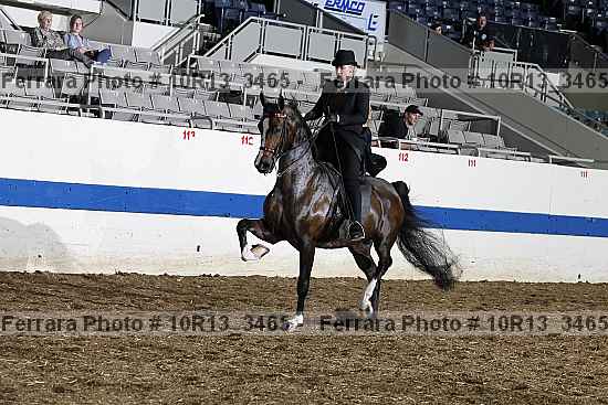 Proof 10r13_3465