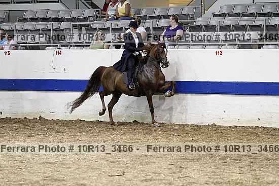 Proof 10r13_3466