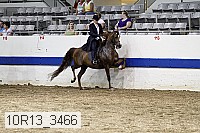 10r13_3466 proof