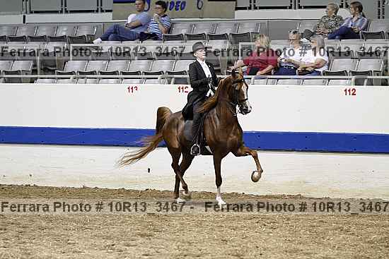 Proof 10r13_3467